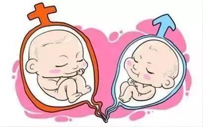正规有偿捐卵生殖中心